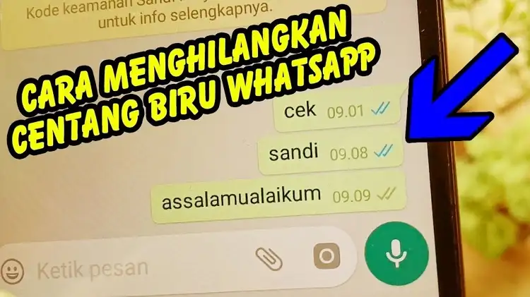 Mematikan Centang Biru pada WhatsApp